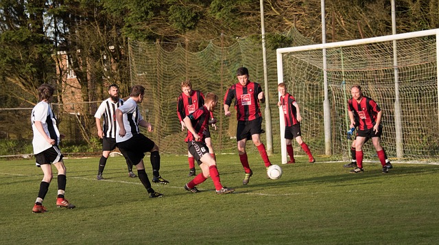 更专业的学 更专业的学