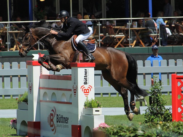 团队配合 团队配合