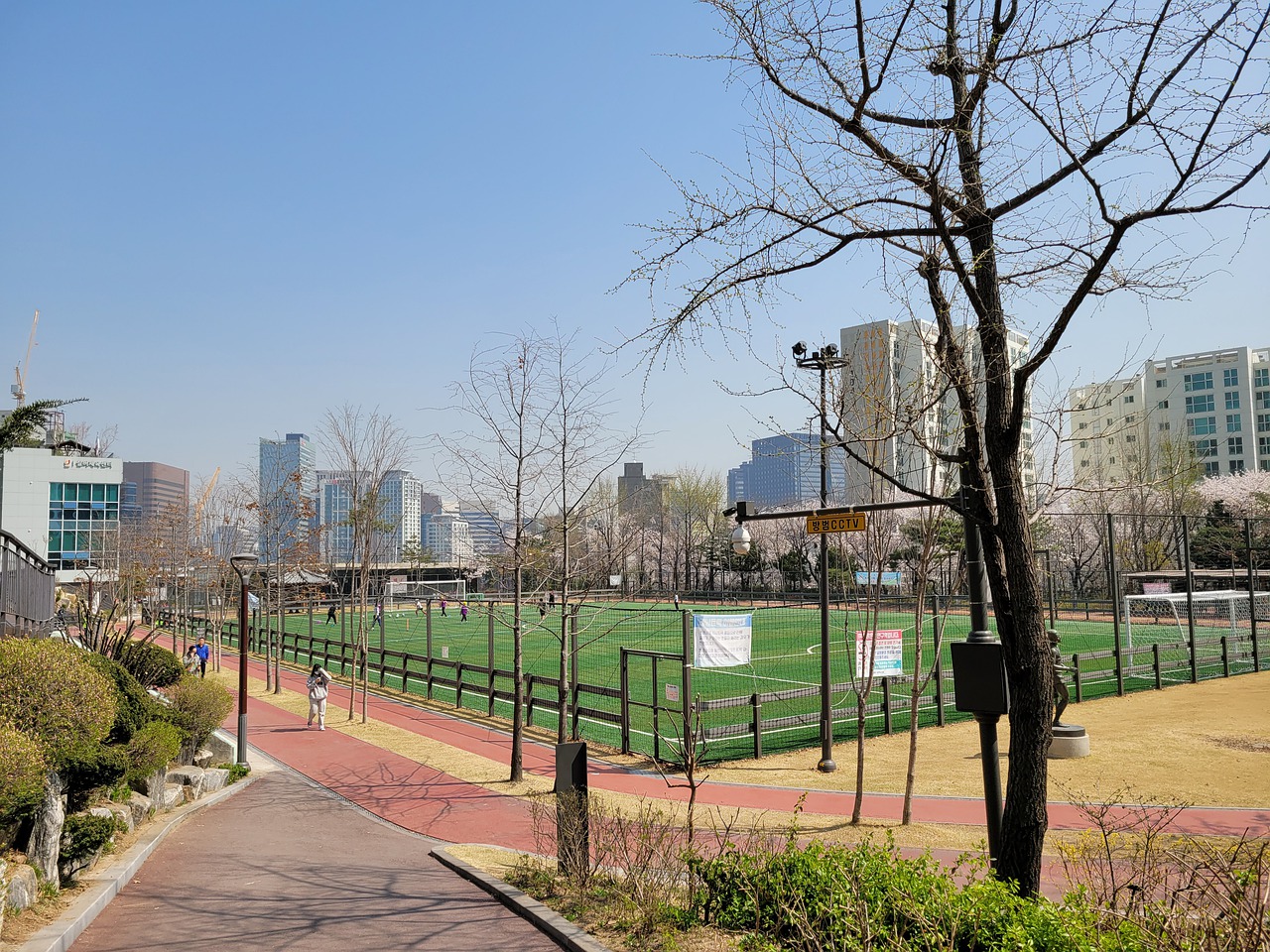 证明了自己 证明了自己