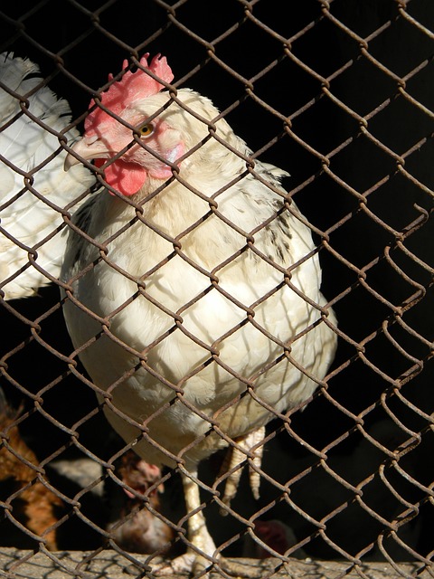 還是令人遺 還是令人遺