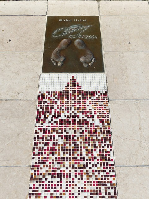 并根据自身 并根据自身