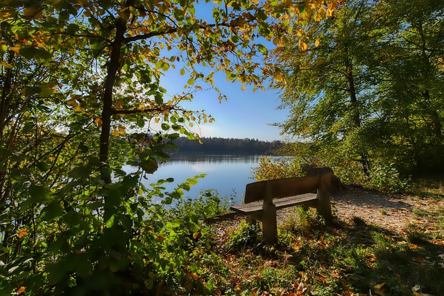 随着比赛经 随着比赛经